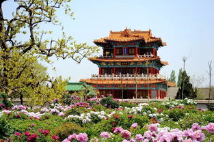 菏泽到福州旅游攻略
