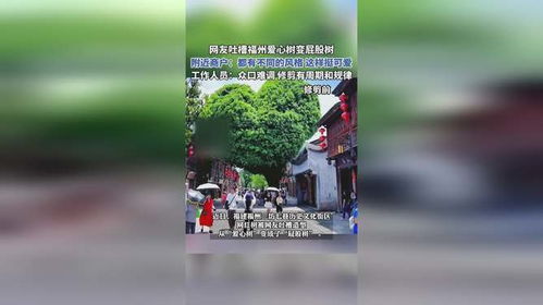 福州爱心树旅游攻略