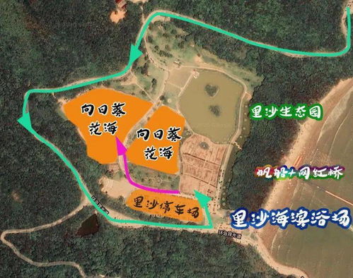 福州森林驿站攻略路线