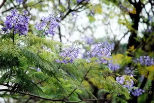 福州夏季公园好玩吗冬天