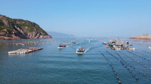 福州看海攻略2天