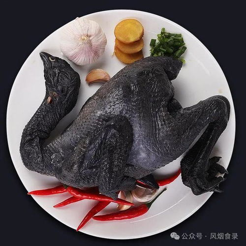 福州哪里买乌鸡好吃
