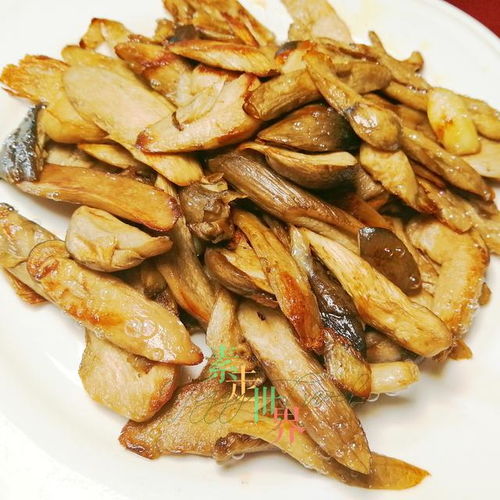 福州宵夜素食哪家好吃