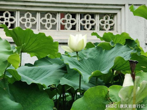 福州西禅古寺好玩的