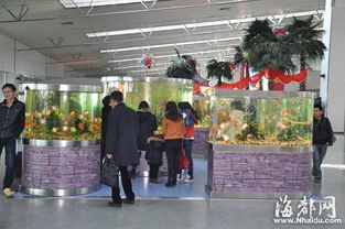 福州机场攻略情侣餐厅