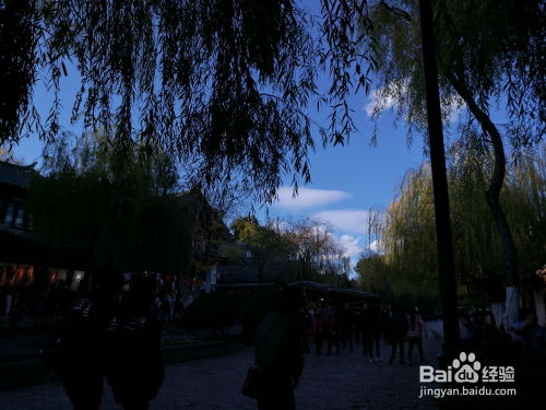 云南与福州对比哪个好玩