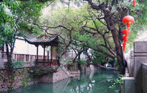福州芙蓉园参观攻略