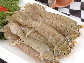 福州哪里钓虾虎好吃