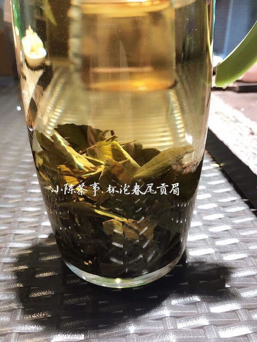 福州夏日煮茶哪家好吃