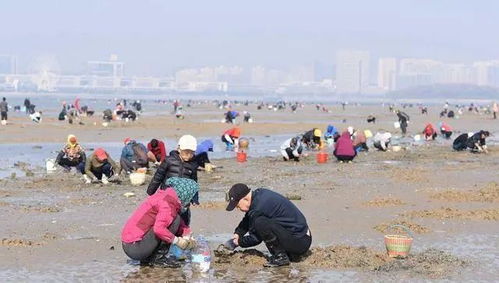 福州周末赶海哪里好玩的