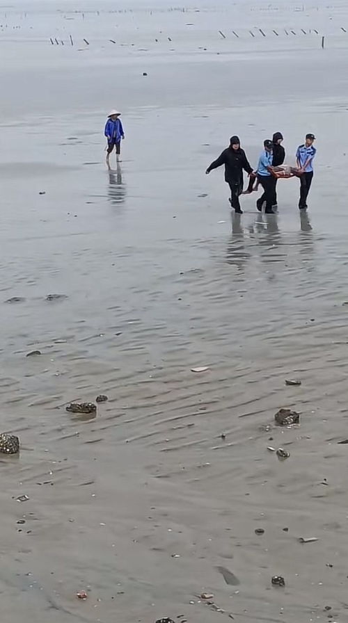 福州赶海装备攻略视频