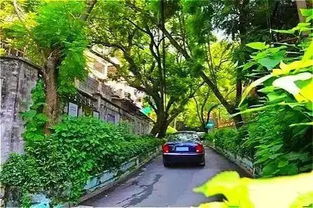 福州九都路好玩吗
