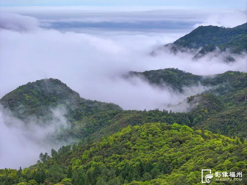 福州云海森公园好玩吗
