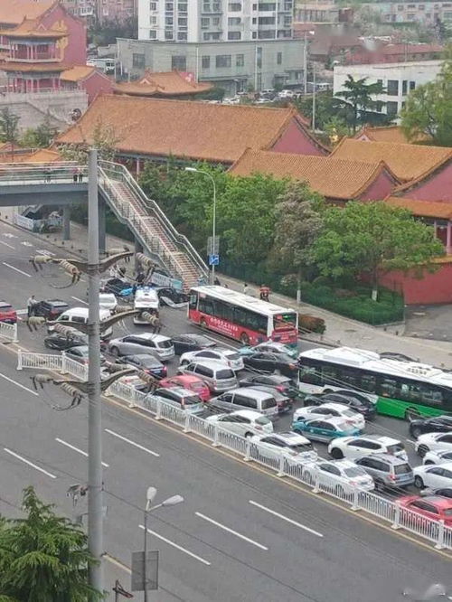 延平到福州路上哪里好玩