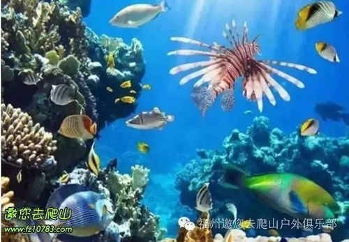 福州海洋世界去哪个好玩