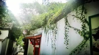 福州四天游攻略