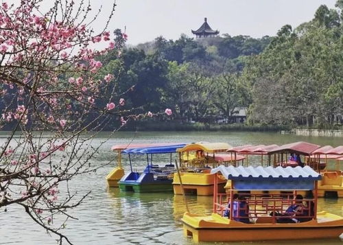 我的福州旅游攻略