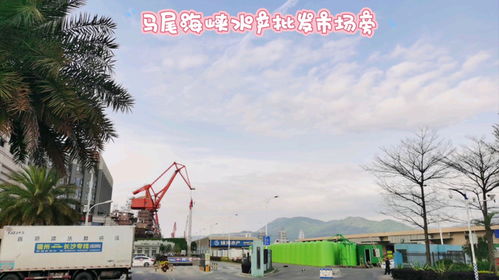 福州马尾水产批发攻略