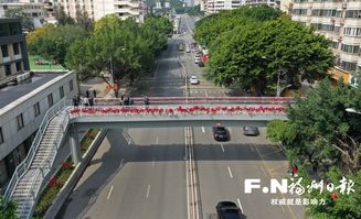 福州茶园山小学攻略