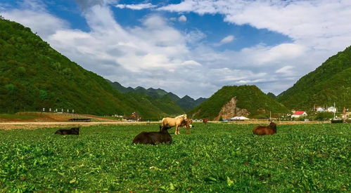福州茶场亲子游玩攻略
