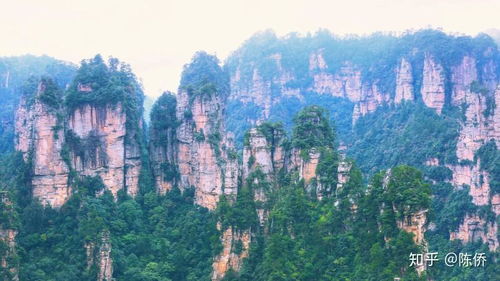 福州自驾深圳游玩攻略