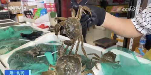 福州哪里吃松叶蟹好玩