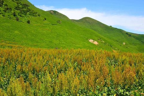 福州去庐山旅游攻略住宿