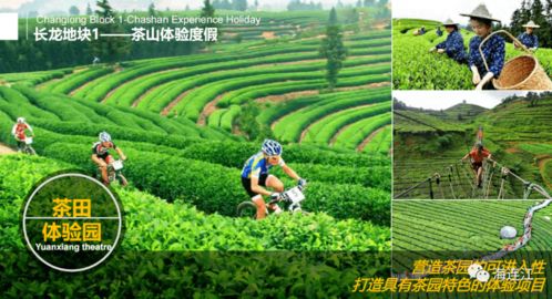 福州茶园路早餐哪里好吃