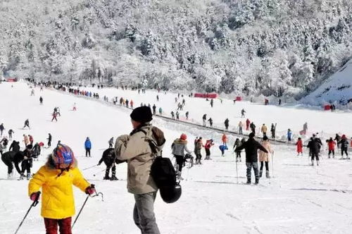 福州滑雪攻略图片大全