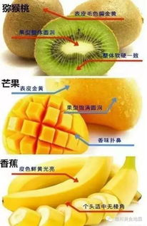 福州哪里卖西瓜好吃的