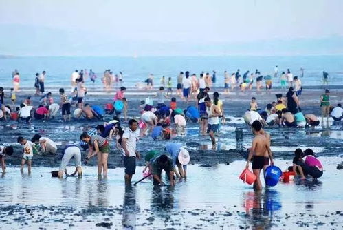 福州冬天赶海去哪里好玩