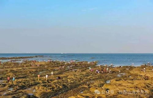 福州琅岐岛赶海攻略