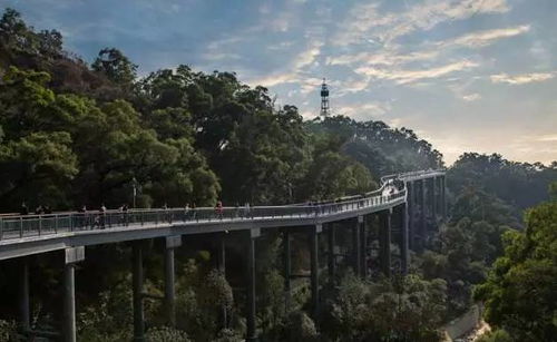 福州野炊市区哪里好玩的