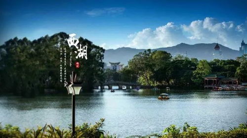福州桂湖镇好吃的