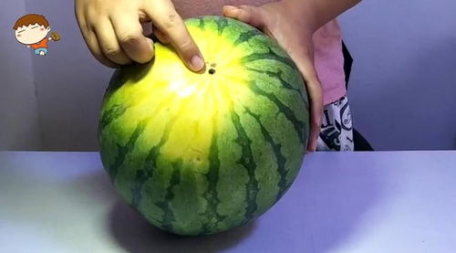 福州哪些西瓜便宜点好吃
