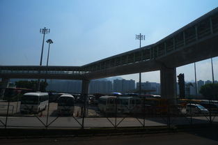 福州跟团香港旅行攻略