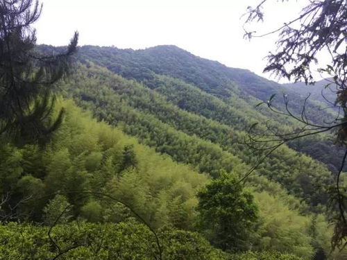 福州原始森林徒步攻略