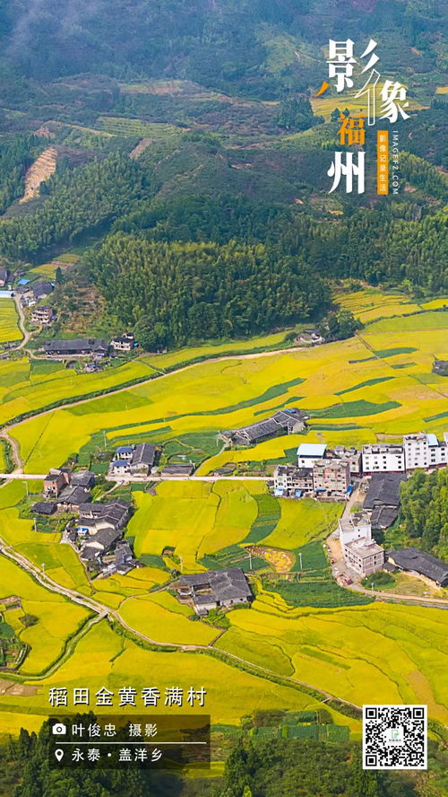 福州稻田创业小镇好玩的