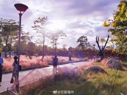 福州市区公园露营攻略