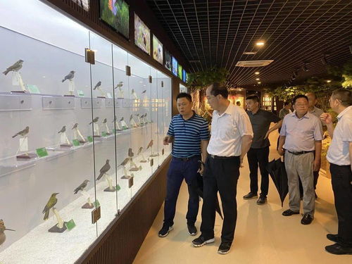 福州买猫攻略地方推荐