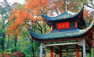 福州上渡芙蓉园参观攻略