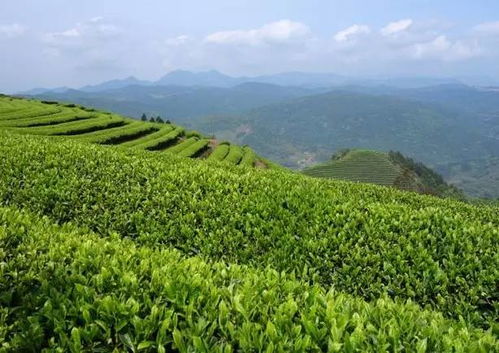 福州哪有田野好玩的地方