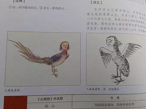 福州山海经好玩吗