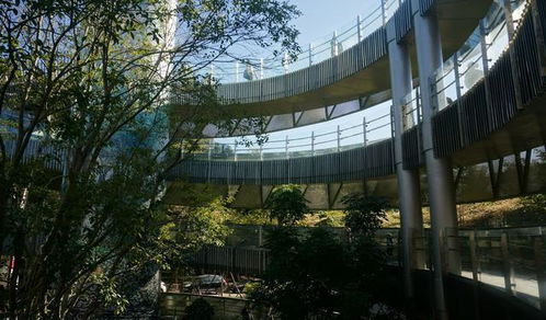 福州最美公园拍照攻略图