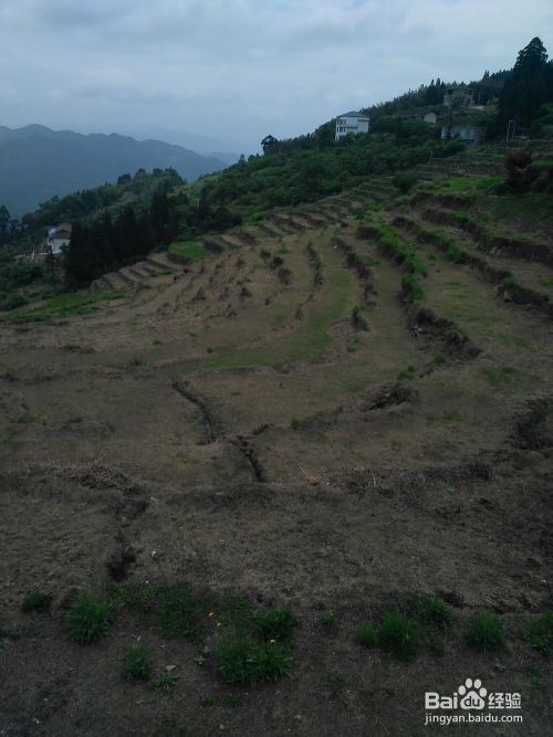 福州永泰云顶山旅游攻略