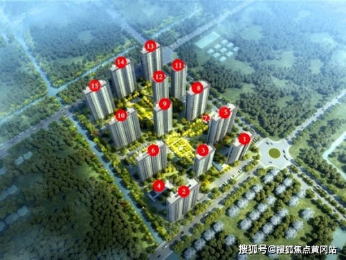 福州卖花攻略论坛地址