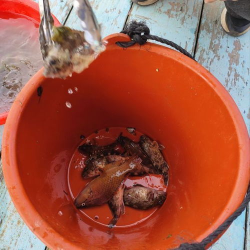 福州平潭岛游玩攻略美食
