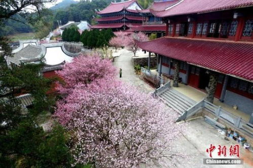 福州梅花镇游玩攻略图