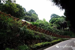 福州栈道下午茶攻略