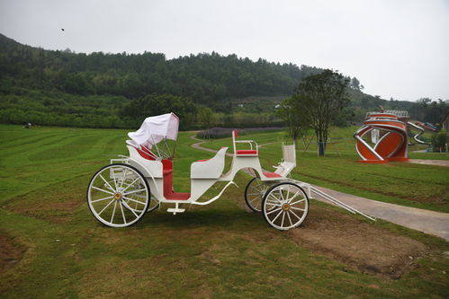 福州宠物爬山哪里好玩点